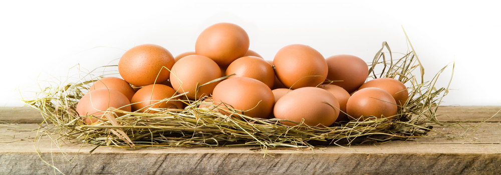 oeufs